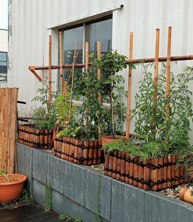 Bamboe Plantenbak - Zephyr - Donker