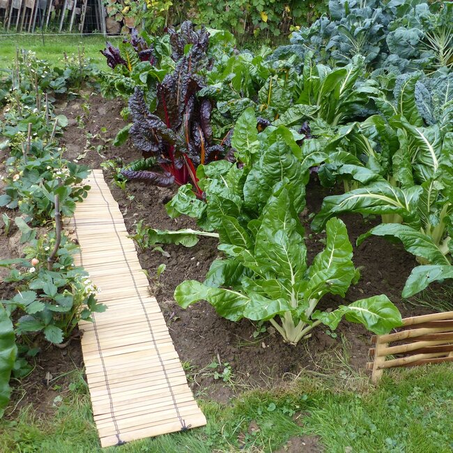 Bamboo Roll Border - Bamboo Roll - 200cm - Light