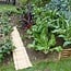 Bamboo Roll Border - Bamboo Roll - 200cm - Light