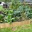 Bamboe Rolborder - Bamboerol - 200cm - Licht