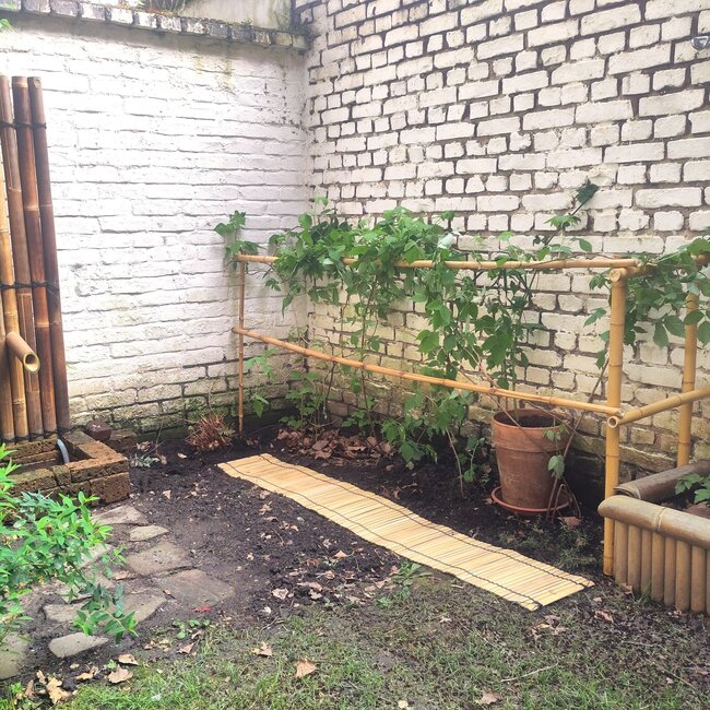 Bamboe Rolborder - Bamboerol - 200cm - Licht