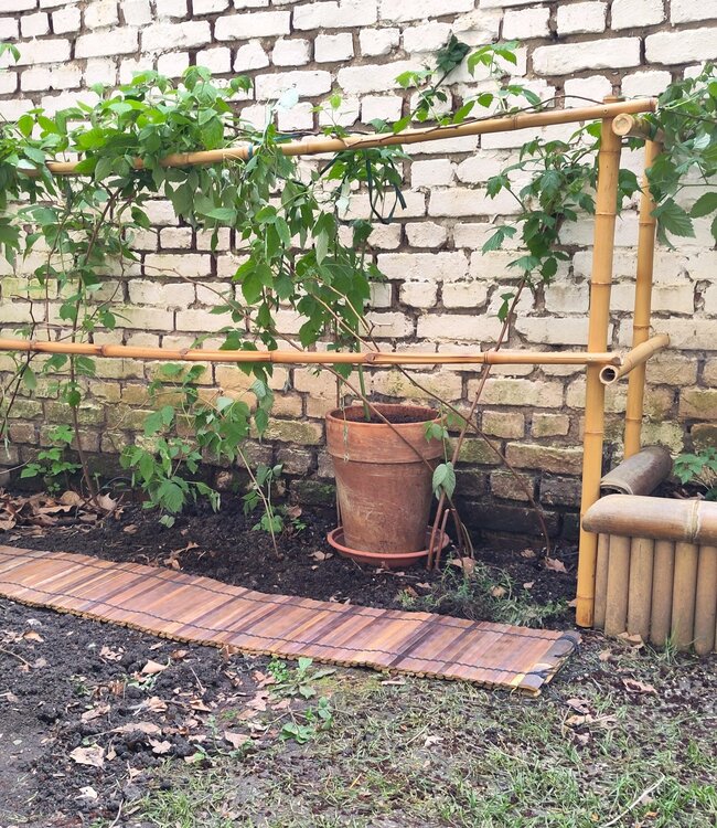 Bamboo Roll Border - Bamboo Roll - 30x200cm - Dark