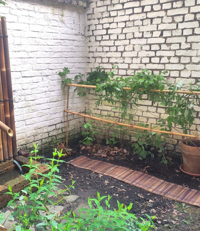 Bamboo Roll Border - Bamboo Roll - 30x200cm - Dark