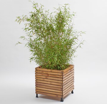 Koning Bamboe Bamboo Planter Single - Coconut Mat Insulation - Natural