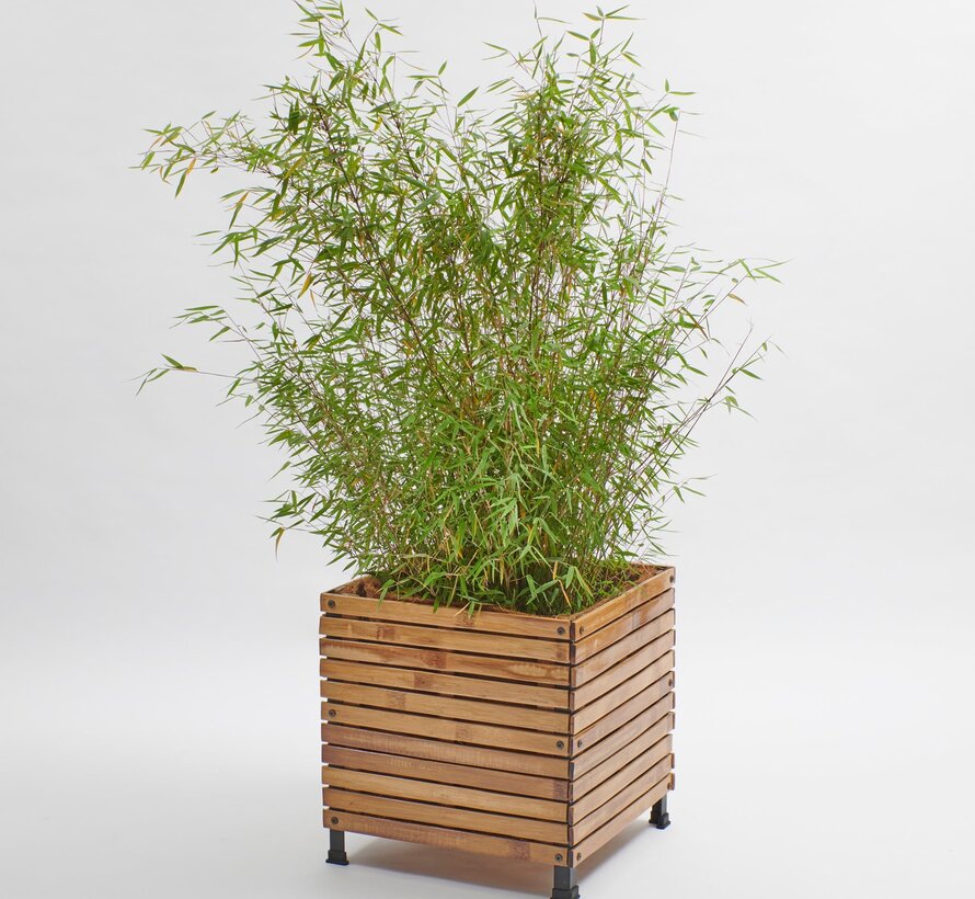 Bamboo Planter Single - Coconut Mat Insulation - Natural