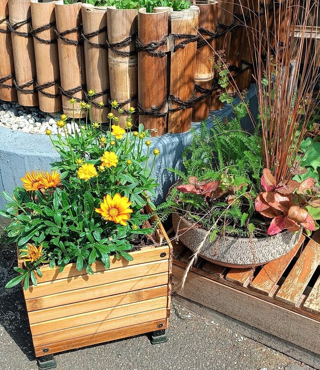 Bamboo Planters - Set of 3 - Coconut Mat Insulation - Natural