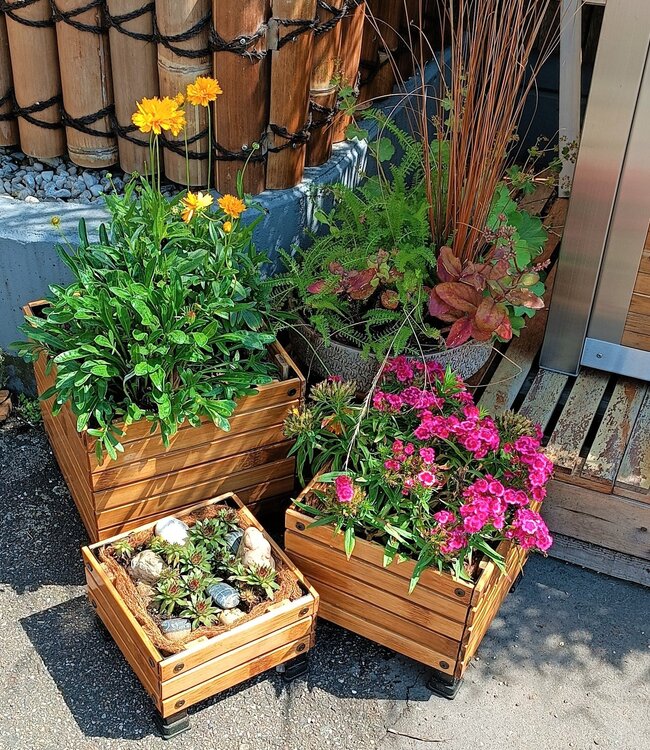 Bamboo Planters - Set of 3 - Coconut Mat Insulation - Natural