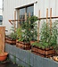 Light Bamboo Stick - Decoration - Apus
