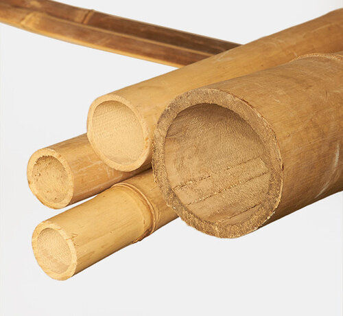 Koning Bamboe Bâton de Bambou Léger - Décoration - Apus