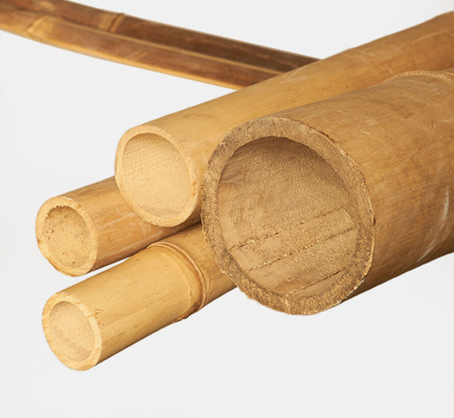 Light Bamboo Stick - Decoration - Apus
