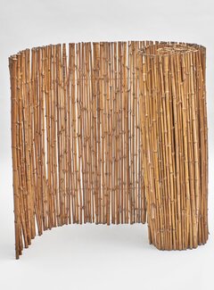 Bamboona Bamboe Privacyscherm - Cendani - 100 x 300 cm