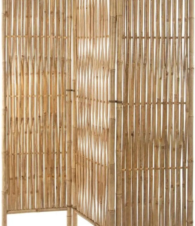 Bamboe Kamerscherm - H.170 cm - Naturel