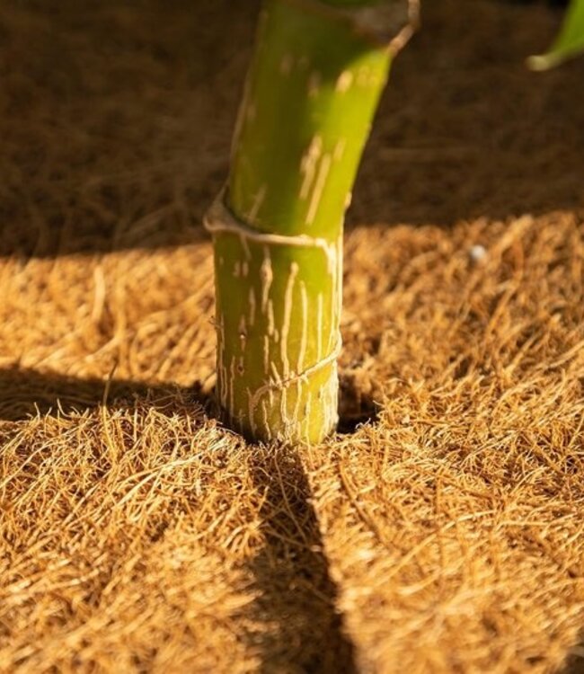 Kokosmatten voor Plantbescherming - 2 Stuks - Antivries