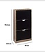 Shoe Cabinet - 3 Compartments - Black - 5Five