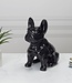 Ceramic Bulldog Figurine - Decorative - Black