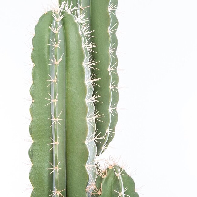 Kunstmatige Cactus - H. 185 cm
