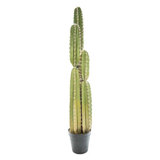 Artificial Cactus - H. 185 cm