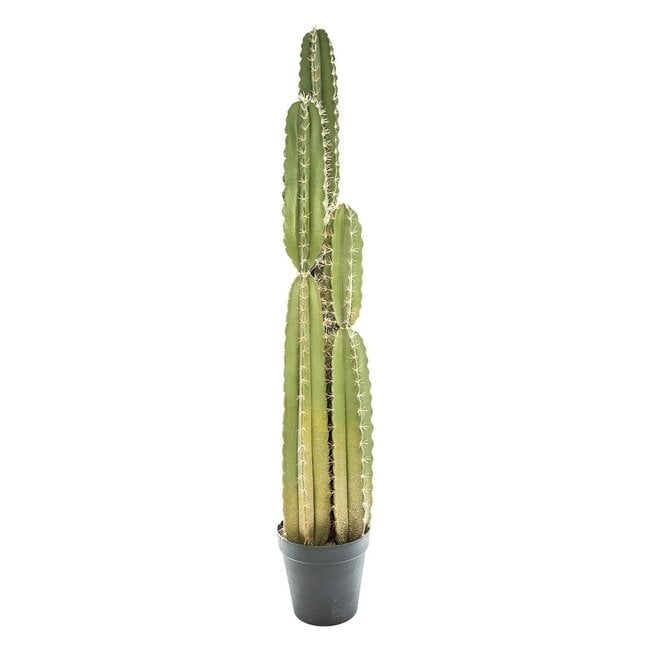 Atmosphera Artificial Cactus - H. 185 cm