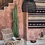Artificial Cactus - H. 185 cm