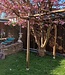Dark Bamboo Stick - Decoration - Wulung