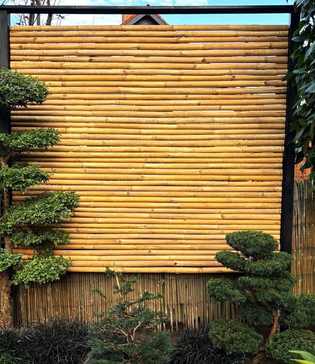 Bamboescherm - Rolhek - Veelzijdig - Apus