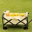 Folding Wagon – Compact and Handy for Every Use