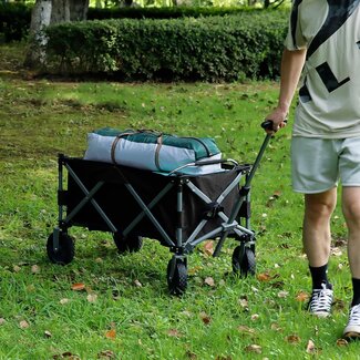 Bolderkar Opvouwbaar - Zwart