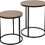 Side Tables Set of 2 - Wood and Metal