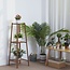Ceruzo Plantentafel 75 cm Hoog – 2 Laags