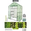 Greenhouse - 143 x 73 x 195 cm Walk-in Garden Greenhouse