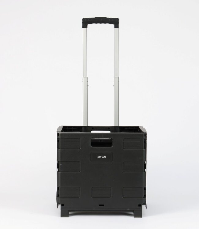 Trolley with Foldable Box – 50 Liters