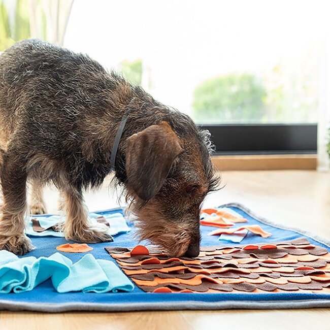 Snuffle Mat for Dogs - Pet Play Mat with Games and Rewards