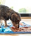 Snuffelmat voor honden - Speelmat
