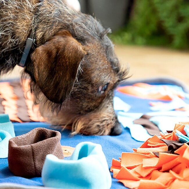 Schnüffelmatte für Hunde - Spielmatte