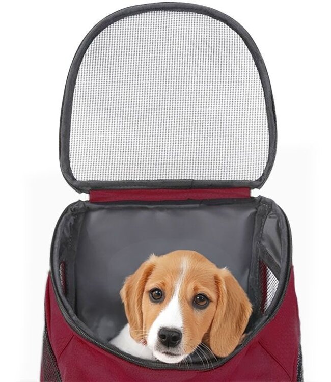 Hondenrugzak - voor Katten en Honden - Rood