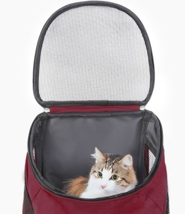 Hondenrugzak - voor Katten en Honden - Rood
