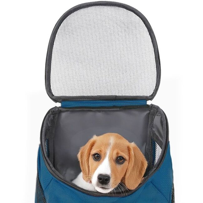 Hondenrugzak - Katten en Honden tot max 10 kg - Petrol