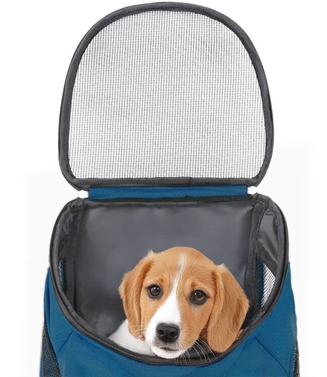 Dog Backpack - For Cats and Dogs up to 10 kg - Petrol