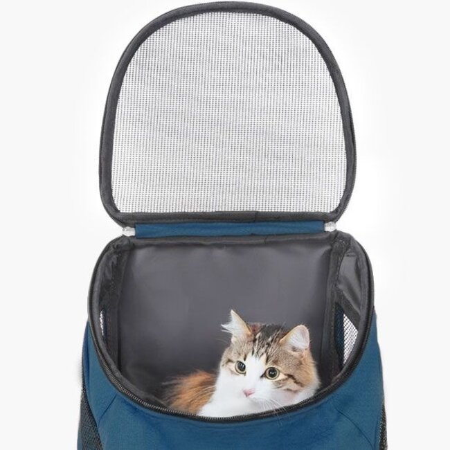 Hondenrugzak - Katten en Honden tot max 10 kg - Petrol