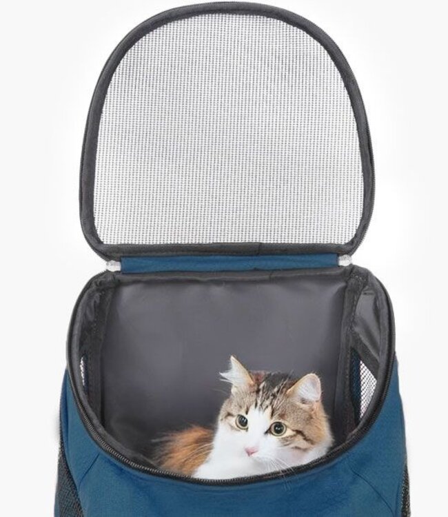 Hondenrugzak - Katten en Honden tot max 10 kg - Petrol