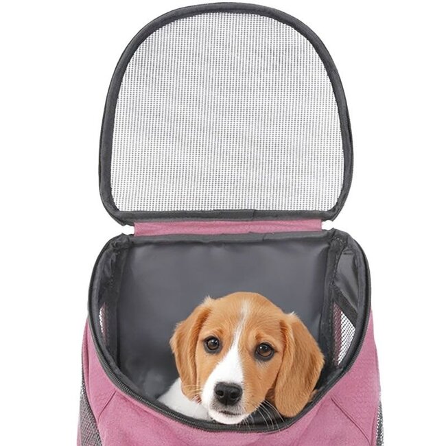 Dog Backpack - For Cats and Dogs up to 10 kg - Pink