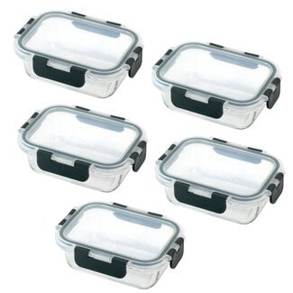Ceruzo Meal Prep Containers - 5 Pieces - Glass Food Containers