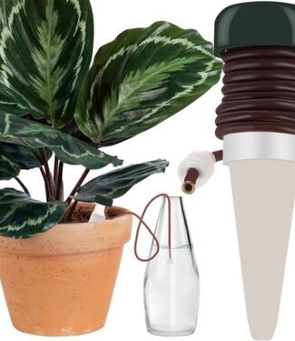 Koning Bamboe 4x Water Drop Irrigation System – Self-Watering – 80 cm