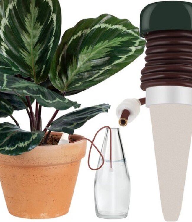 4x Water Drop Irrigation System – Self-Watering – 80 cm
