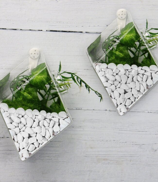 Hanging Diamond Terrarium – Glass – Elegant Wall Decor