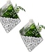 Hanging Diamond Terrarium – Glass – Elegant Wall Decor