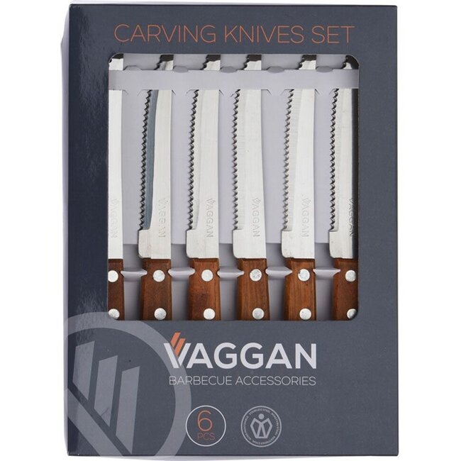Stainless Steel BBQ Skewers with Wooden Handle – Set of 6