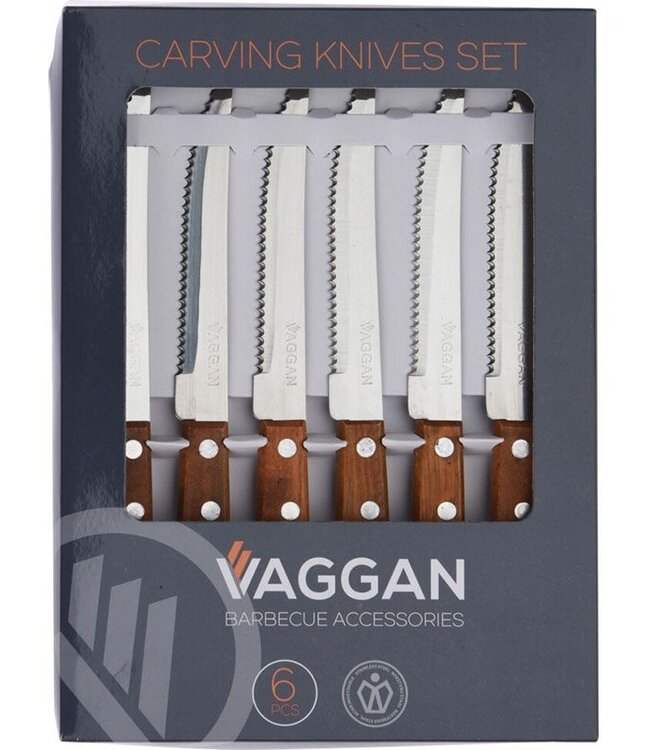 Stainless Steel BBQ Skewers with Wooden Handle – Set of 6
