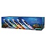 Aquatica Dolphin Maori Inflatable SUP Board 305 cm – Up to 150 kg