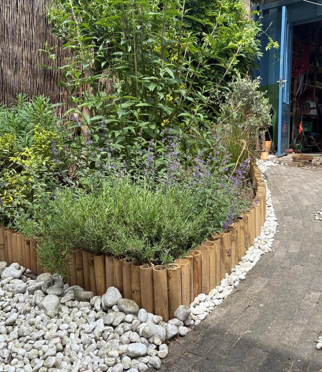 Flexible Roll Border - 30x200cm - Bamboo